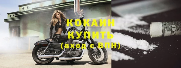 ГАЛЛЮЦИНОГЕННЫЕ ГРИБЫ Абаза