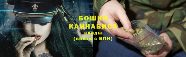 ГАЛЛЮЦИНОГЕННЫЕ ГРИБЫ Абаза