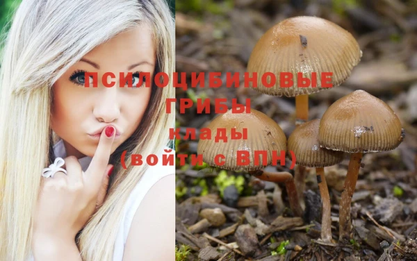 ГАЛЛЮЦИНОГЕННЫЕ ГРИБЫ Абаза